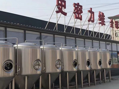南木林精酿啤酒设备厂—如何判断精酿啤酒设备的密封件需要更换？